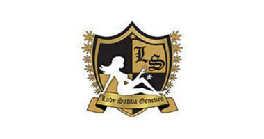 Lady Sativa Genetics