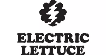 ELECTRIC LETTUCE HILLSBORO