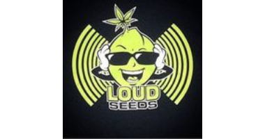 Loud Seeds