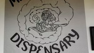 MAINSTREET 420 SHOP - BINGER