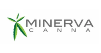 MINERVA CANNA - BROKEN ARROW