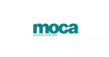 MOCA Modern Cannabis Chicago