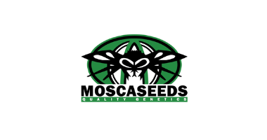 Mosca Seeds