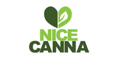 Nice Canna