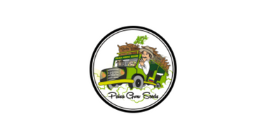 Paisa Grow Seeds