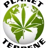 PLANET TERPENE, LLC - COLCORD