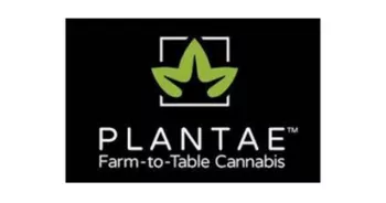 PLANTAE