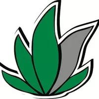 PLATINUM LEAF - MOORE