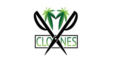 PMP Clones