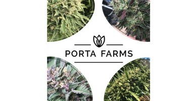 Porta Farms