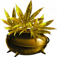 POT LUCK DISPENSARY LLC - CHICKASHA