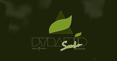 Pyramid Seeds Bank