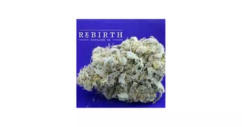 REBIRTH PORTLAND