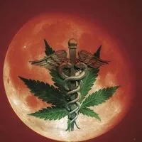 Red Moon Van Nuys