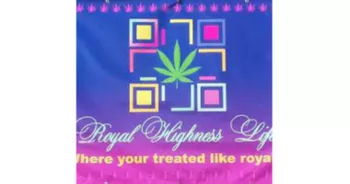 ROYAL HIGHNESS LIFE LLC. - LEXINGTON