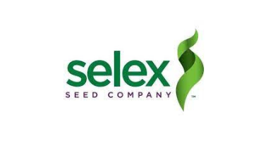 Selex Seeds