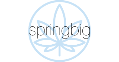 SpringBig