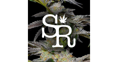 Stoney Ranch