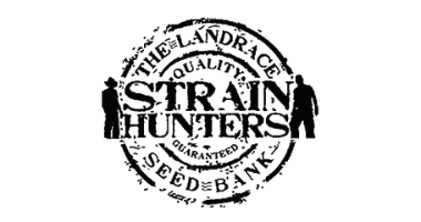 Strain Hunters Seedbank