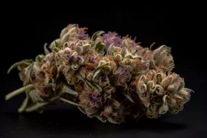 #9 Blackberry