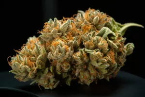 Girl Scout Cookies