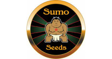 Sumo Seeds