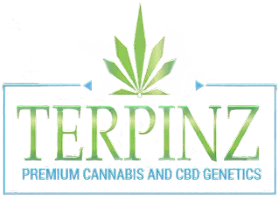 TERPINZ - MIDWEST CITY