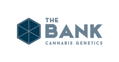 The Bank Cannabis Genetics