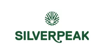 THE DAB BY SILVERPEAK - ORIGINAL