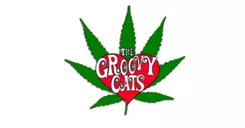 THE GROOVY CATS LLC - TULSA