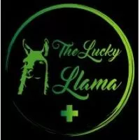THE LUCKY LLAMA DISPENSARY - MARLOW