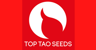 Top Tao Seeds