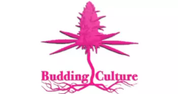 BUDDING CULTURE