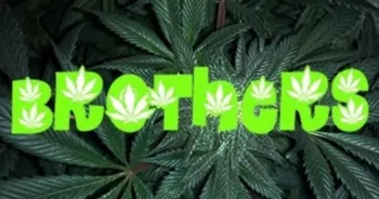 BROTHERS CANNABIS