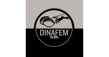 Dinafem Seeds