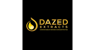 Dazed Extracts