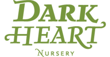 Dark Heart Nursery