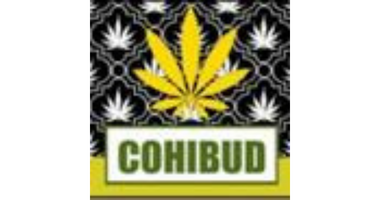 Cohibud