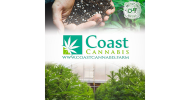 Coast Cannabis Farms