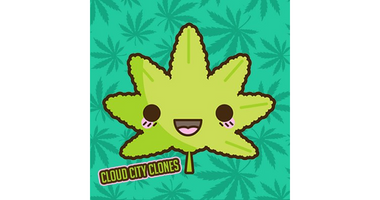 Cloud City Clones