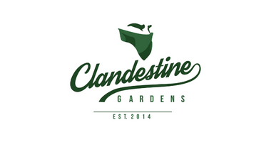 Clandestine Gardens