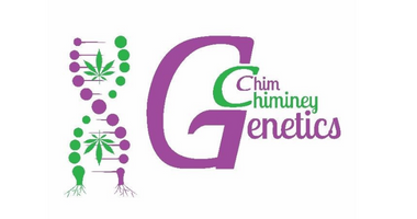 Chim Chiminey Genetics