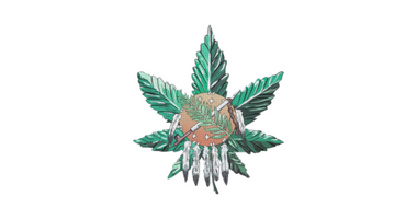 Dr. Big Buds