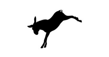 Donkeytown Press
