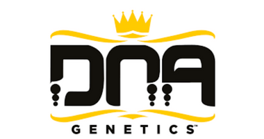 DNA Genetics