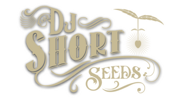 DJ Short Seeds