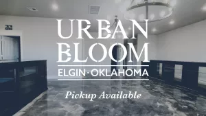 URBAN BLOOM - ELGIN