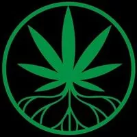 Vegas Treehouse Las Vegas