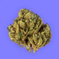 WAYNE'S WORLD DISPENSARY - CAMERON