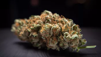 Weed Nap